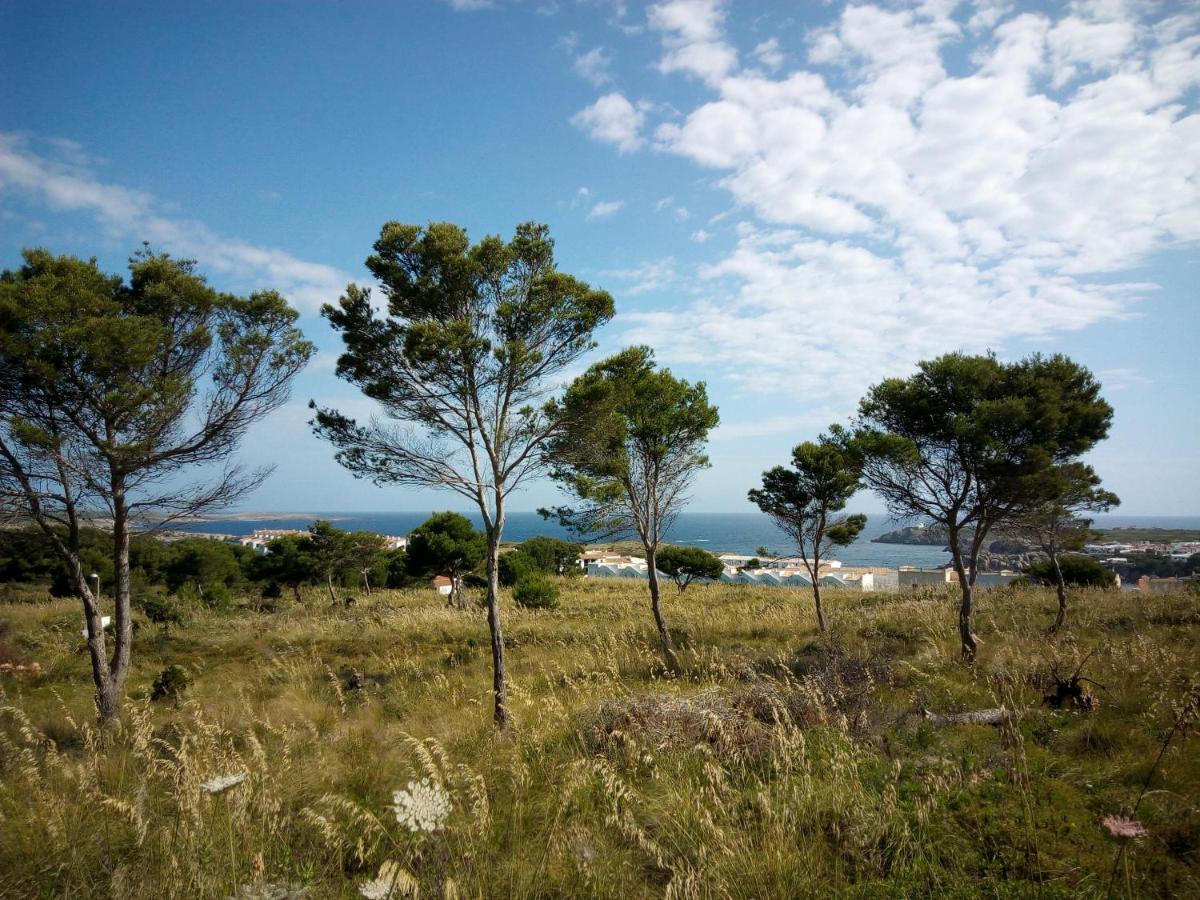 Castellsol Arenal Home Beach Punta Grossa Kültér fotó